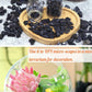 Obsidian Healing Crystal Chips Bulk Gemstones Sets Tumbled Crushed Stones Crushed Crystals Natural Rocks for Fountain Rocks Decoration Reiki Energy Balancing Meditation Aquarium Gravel 0.44lb