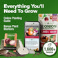 HOME GROWN 𝗨𝗦𝗔 𝗣𝗥𝗘𝗠𝗜𝗨𝗠 8 Onion Seeds for Planting – 1,600 Heirloom 𝗡𝗢𝗡-𝗚𝗠𝗢 Vegetable Seeds – Grow Sweet, Yellow, Red, Spanish, Green & Vidalia Onions in Outdoor or Indoor Home Garden