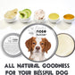 The Blissful Dog Brittany Spaniel Nose Butter for Dry, Cracked Skin, Lick-Safe Dog Nose Balm with Moisturizing Shea Butter, Almond, Olive, and Essential Oils, Pet Supplies, Uncented, 4 oz.