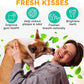 Dog Teeth Cleaning Powder - Dog Breath Freshener + Dental Care for Doggies & Cats + Tartar Remover for Teeth with Natural Ingredients + Probiotics Blend (Mint - 200g)