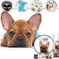 The Blissful Dog Black Masked Fawn French Bulldog Unscented Nose Butter, 16oz