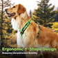 CLEPAWS Dog Harness for X-Large Dogs, No Pull Dog Harness Easy Walk with Metal Hardware, Ergonomic Y-Shaped Design, Soft Padding, Padded Handle, Durable High-Tensile Nylon (Evergreen, XL)