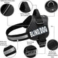 Doggie Stylz Blind Dog Harness No Pull No Escape Dog Vest for Blind Dogs Adjustable Vest with Handle Blind Dog Accessories and Patches for Training and Mobility