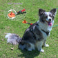 Dog Stakes for Outside Heavy Duty Hold up to 350Lbs Large Dogs Tie Out Tether Leash Chain for Yard Screw in Ground Anchors 17inch with Buffer Rope