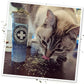 Meowijuana | Feline Frost Catnip Holiday Blend | Premium Organic Catnip | Grown in North America | Perfect for Cat Toys | Fresh Catnip for Extended Playtime