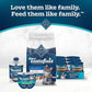 Blue Buffalo Blue Tastefuls Natural Adult Indoor Cat Chicken & Brown Rice Recipe Food for Cats 10 lb