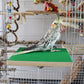 7.9×5.9 Inches Large Bird Perch Stand Platform, Natural Wooden Bird Cage Accessories, Bird Stand Perch with Rough Quartz Sand Surface for Parrot, Parakeet, Budgies, Cockatiel, Rats