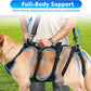 Dog Lift Harness for Large Male Dogs, 2-in-1 Detachable Support Harness, Full Body Carrying with 4 Handles, Dog Sling for Large Dogs Hind Leg Support(Black, X-Large)