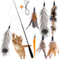 Retractable Cat Wand Toys - Interactive Feather Wand with Bell for Indoor/Outdoor Cats, 8 Pack