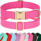 PET ARTIST Soft PU Leather Dog Collar, Bright & Stylish Hot Pink Dog Collar Girl with Quick Release Rose Metal Buckle, Nylon Padded Durable Pet Collars Adjustable for Medium Dogs, Neck Fit 13-19"