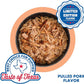 N-Bone Puppy Teething Rings Taste of Texas Pulled Pork Flavor 3 Count