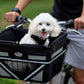 TRAVELIN K9 Pet-Pilot MAX Dog Bicycle Basket Carrier | 8 Color Options for Your Bike (Blue)