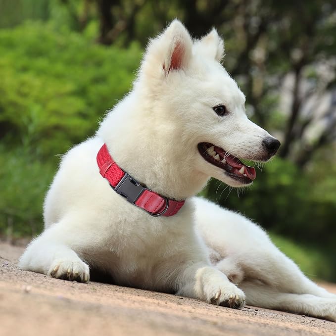 PET ARTIST Soft Cotton Dog Collar for Medium Dogs in Glamorous Red, Simple Dog Collar with Quick Release Metal Buckle & D Ring, M Size (13-21")