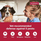 K9 Advantix II Large Dog Vet-Recommended Flea, Tick & Mosquito Treatment & Prevention | Dogs 21-55 lbs. | 2-Mo Supply (Packaging may vary)