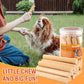 Salmon Sticks for Dogs,Real Salmon and Carrots,Easily Digestible,High Protein Dog Treat,Freshens Breath Healthy,for All Breeds (100g)