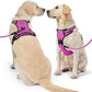 NESTROAD No Pull Dog Harness,Adjustable Oxford Dog Vest Harness with Leash,Reflective No-Choke Pet Harness with Easy Control Soft Handle for Large Dogs(Large,Fuchsia Pink)
