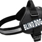 Doggie Stylz Blind Dog Harness No Pull No Escape Dog Vest for Blind Dogs Adjustable Vest with Handle Blind Dog Accessories and Patches for Training and Mobility