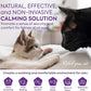 Cat Pheromones Calming Diffuser: Premium Pheromone Diffuser for Cats - Cat Pheromones Diffuser - Cat Calming Diffuser - Cat Calming Pheromone Diffuser, 3 Pack (Purple)