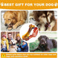 Dog Toys for Aggressive Chewers, Indestructible Dog Chew Toys for Large Medium Small Breed, Tough Nylon Interactive Durable Chew Toy Bone for Puppy Teething Toy Bacon Flavor, Best Gift&Keep Them Busy