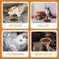 6 Pack Cat Food Bowl, Ceramic Cat Bowls, Anti Whisker Fatigue Cats Bowl Set, 5.9 Inches Shallow Wide Kitten Plates for Food and Water