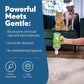 Dog & Cat Urine Stain and Odor Eliminator for Carpet, Upholstery, Hard Floors - 2-Pack 32 oz., Grapefruit & Thyme Scent, Enzyme Bio-Active Formula with Squeeze and Spray Top
