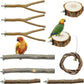 Allazone 10 PCS Natural Parrot Perch Bird Cage Accessories, Bird Platforms, Wood Stands, Grinding Fork Parakeet Platform for Small Lovebirds Budgies Cockatiels