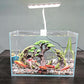 Novelsite Fish Tank Decor- Small Bonsai Trees with Faux Moss- Aquarium Decoration Aqua scaping- Made of Sandstone, Goldfish Betta Fish Tank Decorations