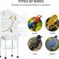 YITAHOME 62 inch Metal Bird Cage, Large Parakeet Cages for Parrot, Cockatiel, Lovebird, Pigeon with Roof Top, Rolling Stand and Hanging Accessories, White