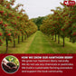 FreshDrinkUS, 16oz Premium Dried Hawthorn Berries – All-Natural, Non-GMO, Perfect for Tea, Smoothies, Baking & Snacking – Healthy, Versatile Superfood