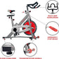 Sunny Health & Fitness ACTIVE Series Smart Exercise Bike with SunnyFit App Connection
