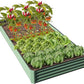 Domi Galvanized Raised Garden Bed, 8x4x1Ft Thickening Metal Planter Box for Vegetables Bottomless for Backyard Outdoor, 1" Deep w/ 228 Gallon Capacity - Green