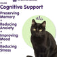 Dr. Bill's Feline Cognitive Support | Memory Support Supplement for Cats | Pet Supplement | Contains Gingko Biloba, L-Carnosine, Vitamin B-12, L-Glutamine, L-Tyrosine, and DHA