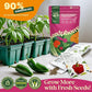 25 Gourmet Garden Vegetable Seeds Variety Pack - 14,965+ Non-GMO Heirloom Vegetables Seeds for Planting Indoor&Outdoor Home Garden Seeds - Gardening Seed Packets for Planting Vegetable Seeds