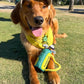 Golf Dog Toy – Birthday Dog Toy, Funny Plush Squeaky Puppy Gift with Rope & Crinkle, Golf Bag Gift