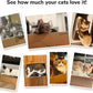 FUKUMARU 5 PCS Cat Scratching Boards, 11.4 Inch Width Ex-Large Cat Scratcher Box, Reversible Cardboard Scratchers for Indoor Cats, Cat Scratch Box for Large, Medium and Small Cats, Protect Furniture