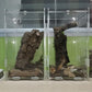 Magnetic Acrylic Case, micro habitat small Tarantula Enclosure enclosure for arboreal Tarantula Scorpion Sling Lizards Mantis Snake Gecko jumping spider snail Insect Isopods (4.7*4.7*7.8 inch)