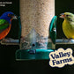 Valley Farms White Millet Wild Bird Seed (5LB) for Outside feeders, White proso Millet, Bird Watcher Secret Wild Bird Food to Attract Colorful Painted Buntings in Southern USA