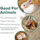 All Walks 70 Liter Hemp Bedding for Chicken Coops, Horses, Ponies, Llama, Emu, Ducks, and Turkeys - 100% Natural, Superior Odor Control, Biodegradable Pet Bedding, Dust-Free - Made in USA