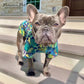 Parisian Pet Unisex Amazonia Shirt - Leafy Dog Beach Outfit - Cotton Summer Clothes - Stylish Hook and Loop Closure - Machine Washable for Medium-Sized Dogs - M