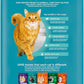 IAMS Proactive Health Indoor Weight Control & Hairball Care Adult Dry Cat Food, Salmon Recipe, 3.5 lb. Bag