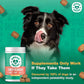 Doggie Dailies Cranberry Supplement for Dogs - Urinary Tract, Bladder & Kidney Support for Dogs - Cranberry for dogs with Marshmallow Root, Licorice Root & Apple Cider Vinegar (Chicken) 225 Soft Chews