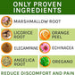 Kennel Cough Herbal Drops for Dogs & Cats - Cough Relief - Throat Soother - Dry and Wet Pet Cough - Made in US - 2 Fl Oz