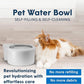 Always Full® 7" Pet Water Bowl and Wall Unit Bundle – Self-Refilling, Clean Filtered Water, Easy Home Connection, App-Enabled Hydration Tracking, Cat and Dog Water Bowls
