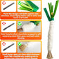 Catnip 6PCS Chew Stick with Wrapped Cotton Rope – Natural Dental Care Cat Toy for Teeth Cleaning & Gum Health, Satisfies Chewing Instincts, Safe & Long-Lasting Kitten Teething Toy