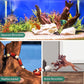 WDEFUN Natural Driftwood for Aquarium Decor, 2-Piece 10''-14'' Large Driftwood for Decorations on Fish Tank, Reptiles Bearded Dragon Accessories or Air Plants