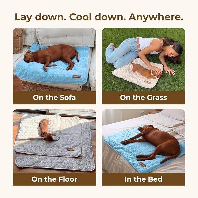 Dog Cooling Mat- Ice Silk Summer Comfort, Self Cooling, Non-Slip Dog Pad, Durable & Washable, Mat for Medium Dogs 50x65 cm, Support Shelter Dogs with Every Purchase (Blue)