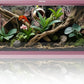 50 Gallon Bearded Dragon Tank, Reptile Enclosure for Easy Maintenance, Front Opening Reptile Tank with Top Screen Ventilation & Glass Sliding Door 36''x18''x18''