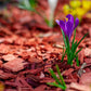 Premium Red Wood Mulch for Indoor, Patio, Potting Media, Gardens, Lawns, and Landscaping (0.5 CF - 14 L - 15 QTS)