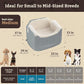 Snoozer Lookout I Dog Car Seat - Small Dog and Puppy Car Seat, Booster Bed for Small & Medium Size Pets up to 25 Lbs, Sherpa Lining, Elevated, Washable, Safe for Travel - Medium, Stone Diamond