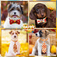 22pcs Fall Dog Bow Tie, Adjustable Bowtie Collar Attachment for Small Medium Pets, Bulk Neckties Set for Thanksgiving Day,Autumn Pet Supplies Charms Hair Costume Accessories(Maple Leaf, Pumpkin)
